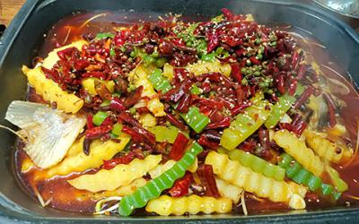 烤魚91视频安全网站學費多少錢？
