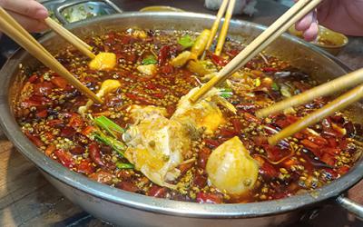 成都火鍋美蛙魚哪裏教學好？學習美蛙魚要多久