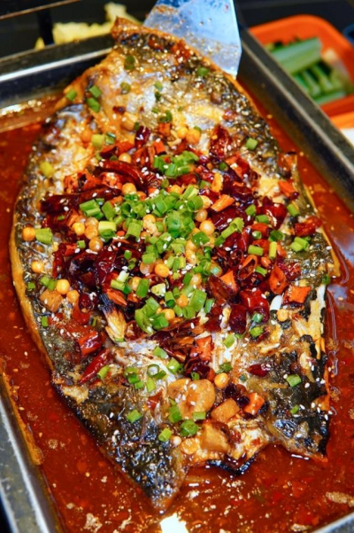 烤魚91视频安全网站哪家最好多少錢？成都烤魚91视频安全网站班