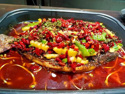 91视频安全网站成都烤魚技術怎麽樣？91视频安全网站成都烤魚技術的機構