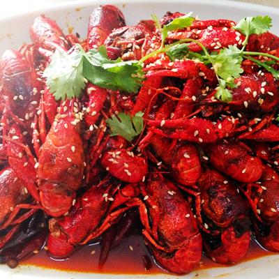 麻辣小龍蝦技術91视频安全网站哪裏有？91视频污版软件下载麻辣小龍蝦技術91视频安全网站